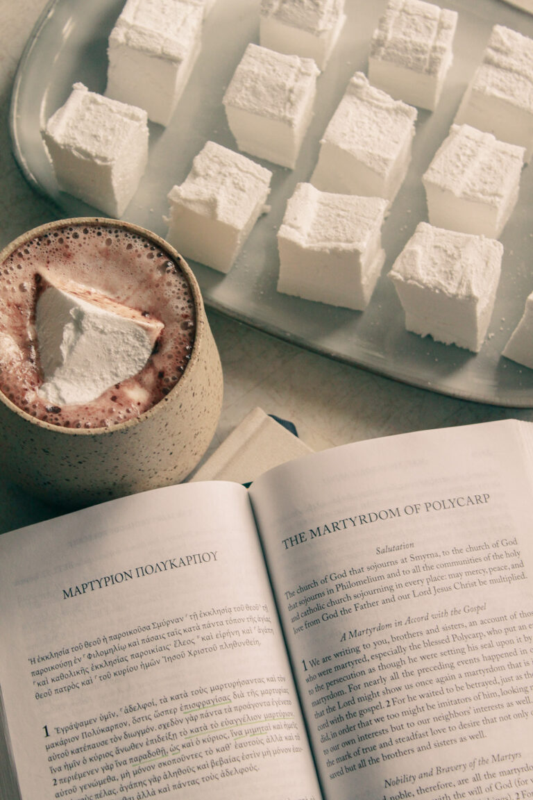 St. Polycarp Pillows